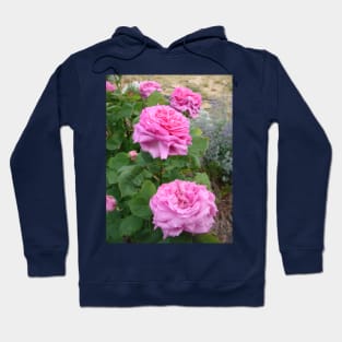 Rose Flower Pink Vintage Cabbage Hoodie